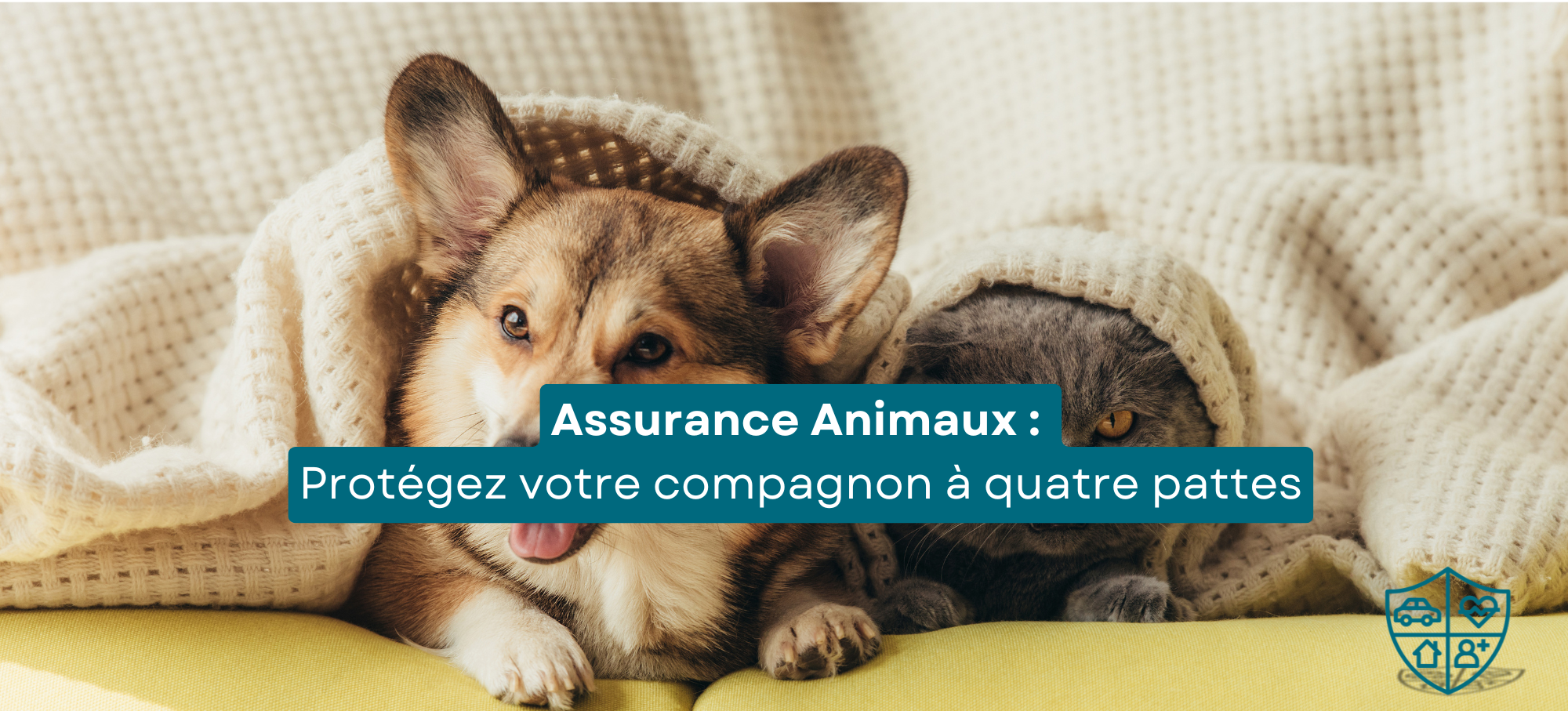 Illustration pour assurance animaux