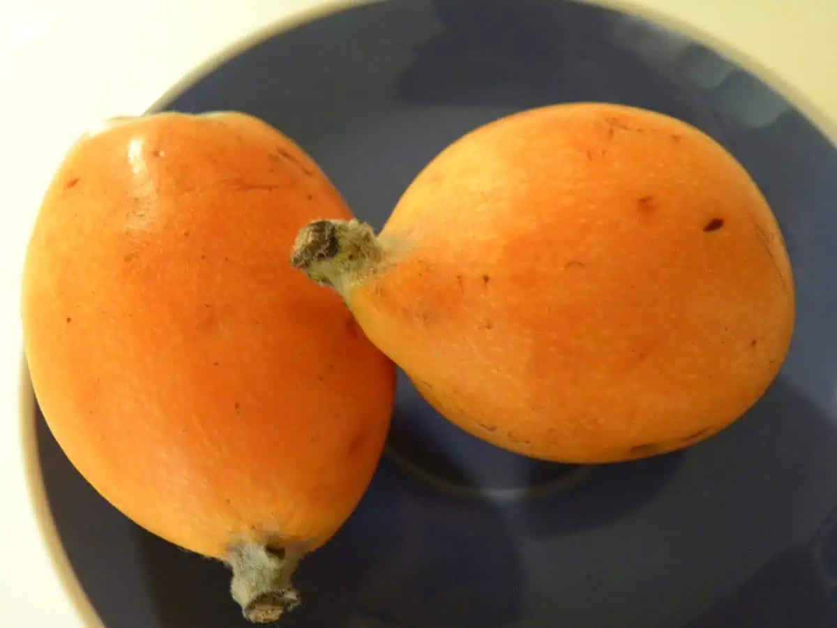 Litchis frais et limes coupées, deux fruits en l posés sur un plan de travail