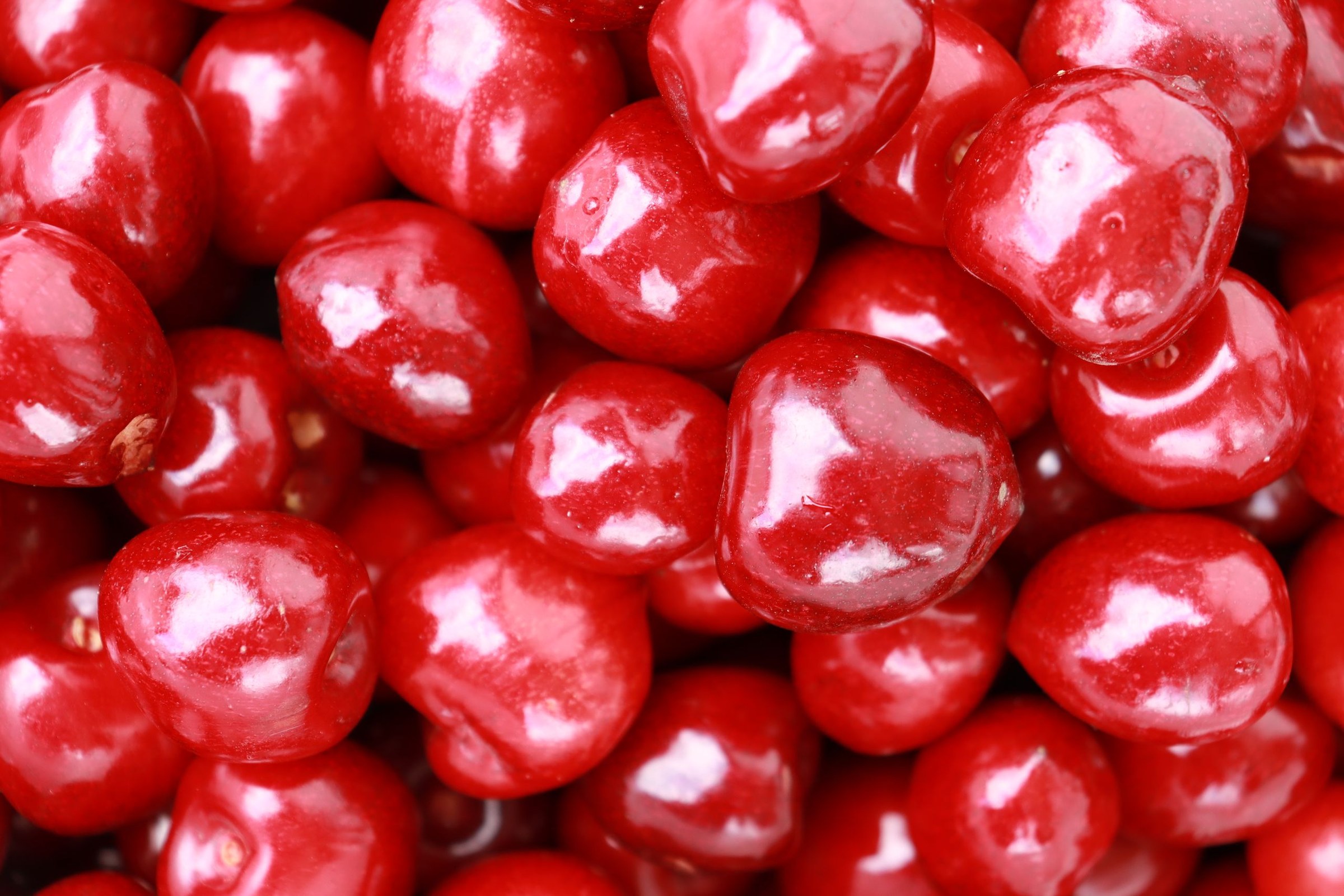 Cerises amarena confites dans leur sirop dans un bocal en verre